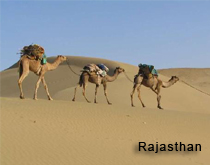 Essence of Rajasthan tours